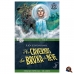 LIVRO JOGO: FF09 AS CAVERNAS DA BRUXA DA NEVE