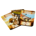 ROAM COMBO (BASE + EXPANSÃO + PROMOS)
