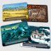 SORCERY CONTESTED REALM PRECON BOX